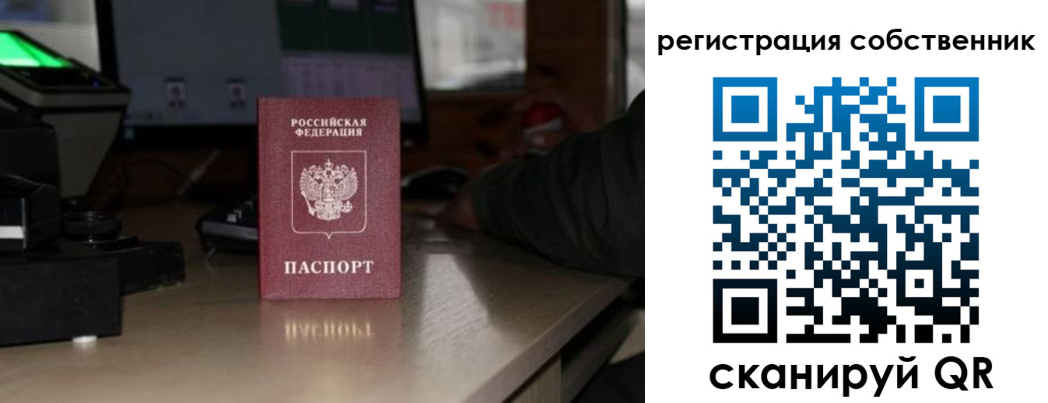 прописка поиск в Арамили